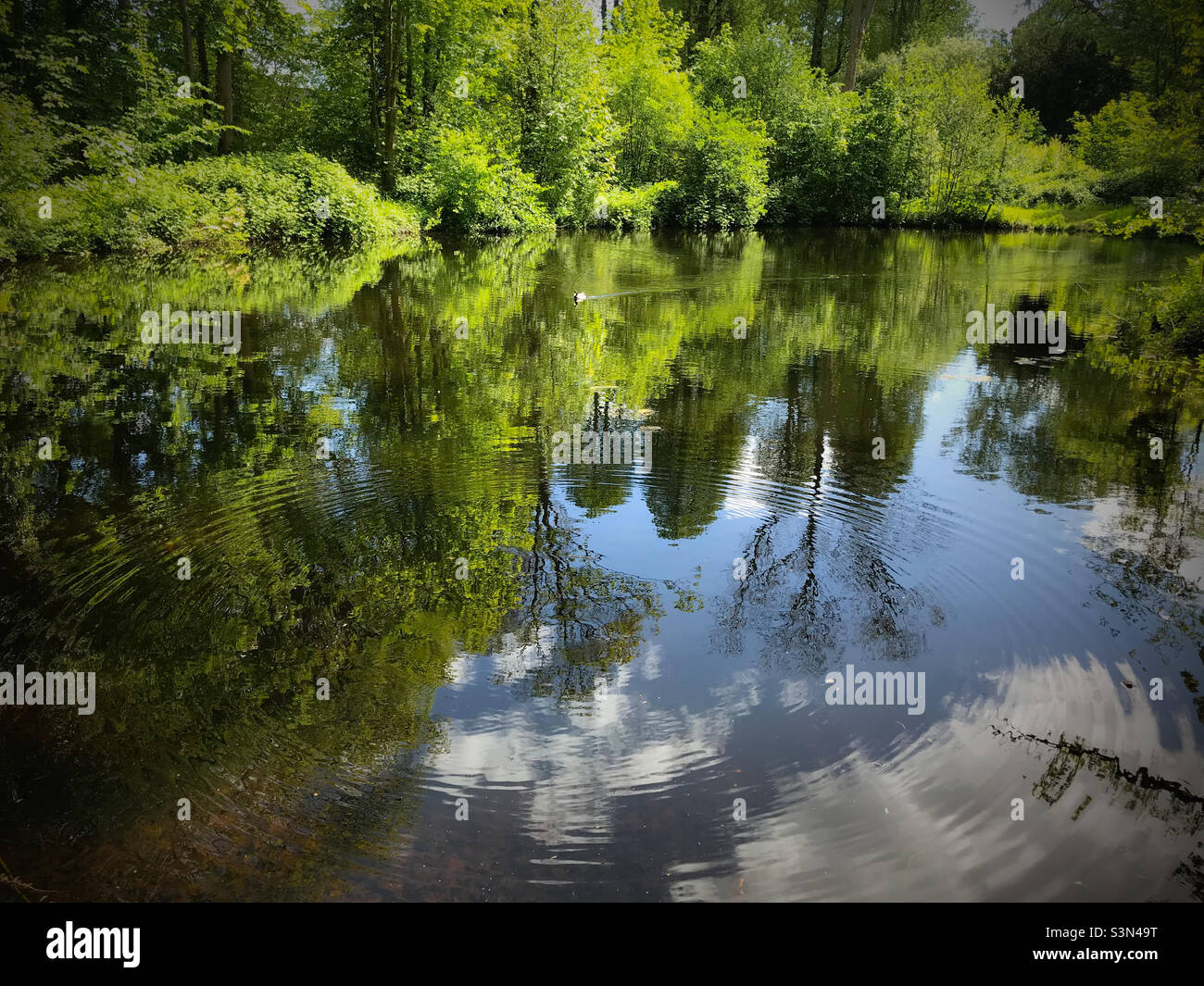 Ripples on still water hi-res stock photography and images - Alamy
