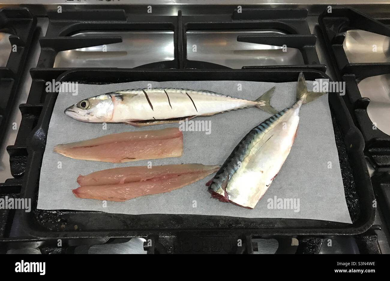 Learning about cooking mackerel Stock Photo Alamy