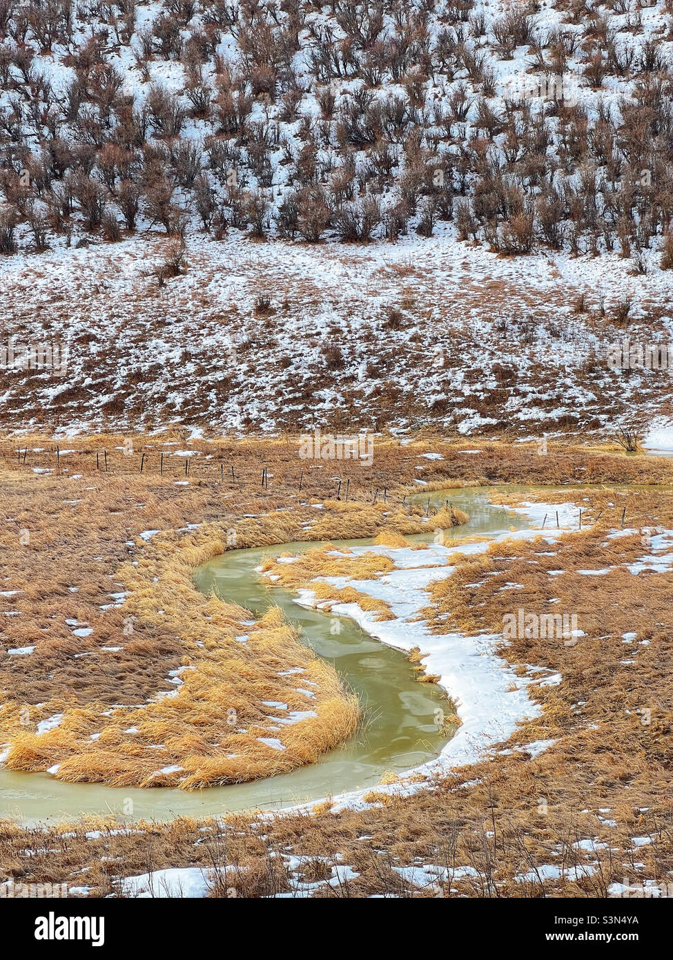 Colourful winter landscape with a tree-covered hillside and a winding, frozen stream cutting through a golden field. Near Calgary, Alberta, Canada. - Smartphone Captured Stock Image