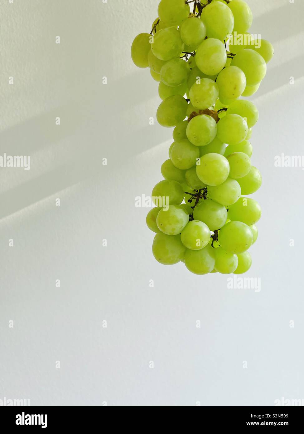 Green grapes. Minimalism - Smartphone Captured Stock Image