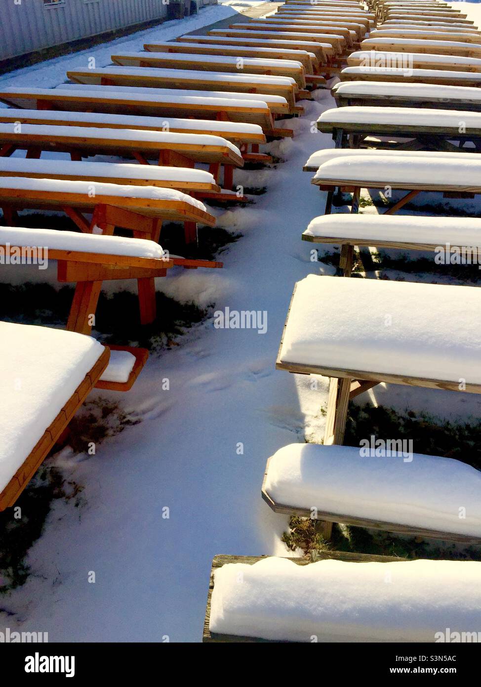 Picnic benches stacked outdoors covered in fresh snow, Ontario, Canada. Serried ranks. - Smartphone Captured Stock Image