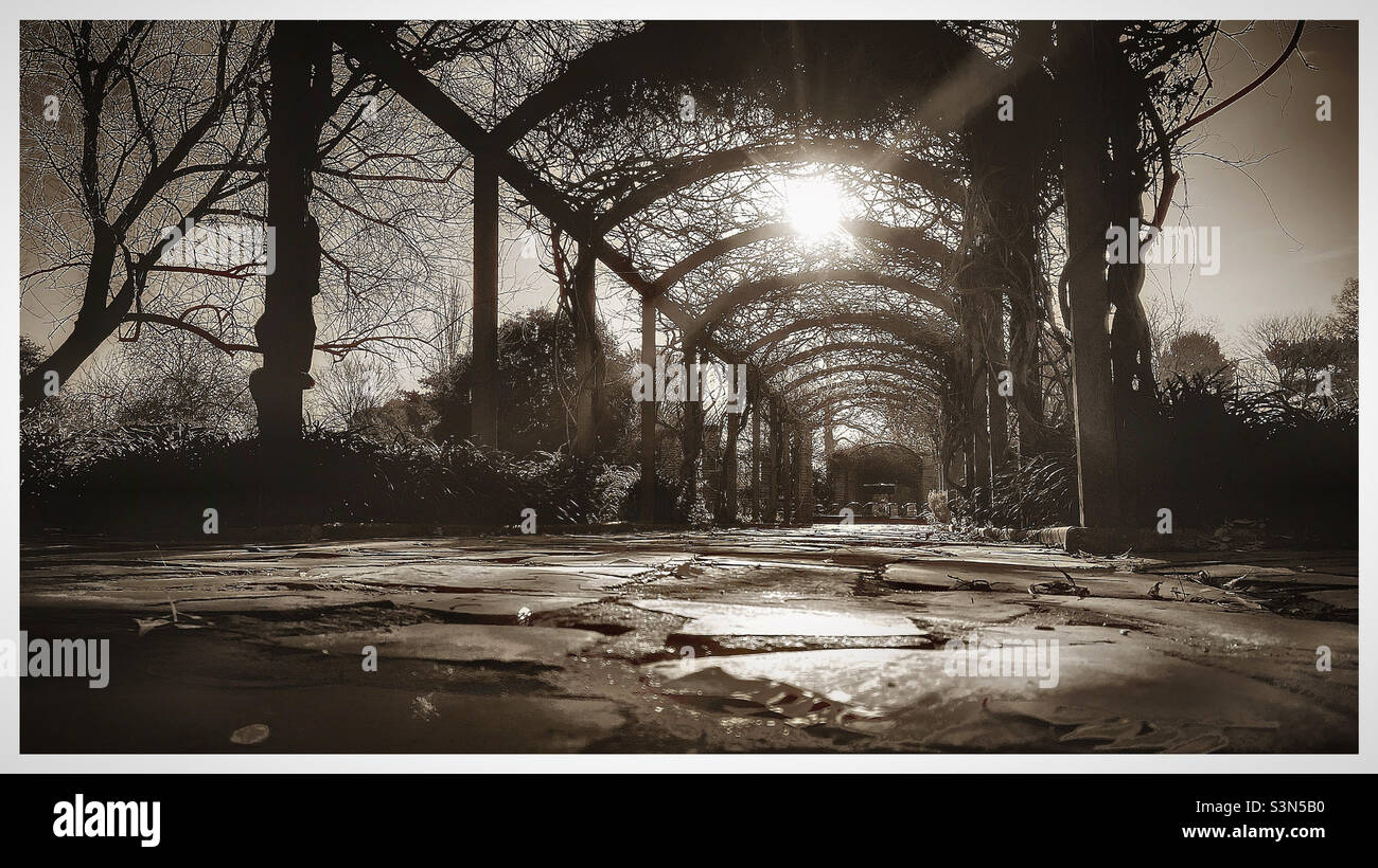 Peckham Rye park - Smartphone Captured Stock Image