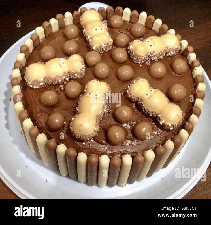 Hungry Hippo style chocolate birthday cake with maltesers and chocolate