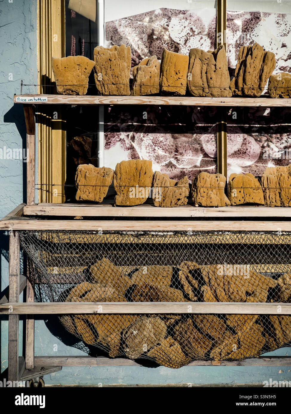 Sponges found in a shop window in the Greek community of Tarpon Springs along the Gulf Coast of Florida. - Smartphone Captured Stock Image