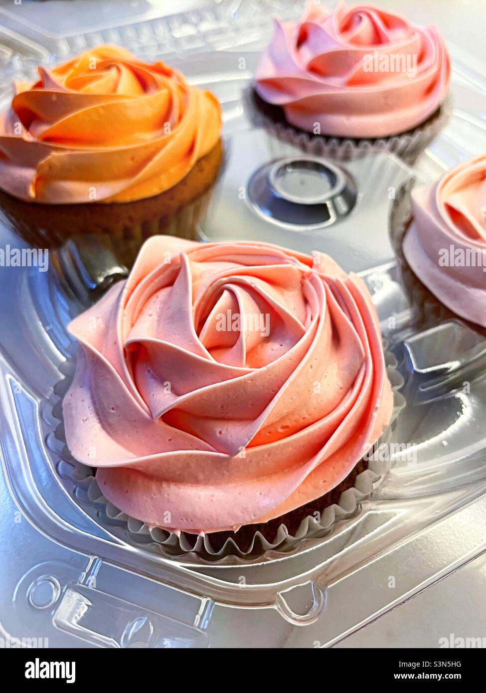 Four cupcakes covered in pink icing in the shape of a delicate rose, 2022, USA - Smartphone Captured Stock Image