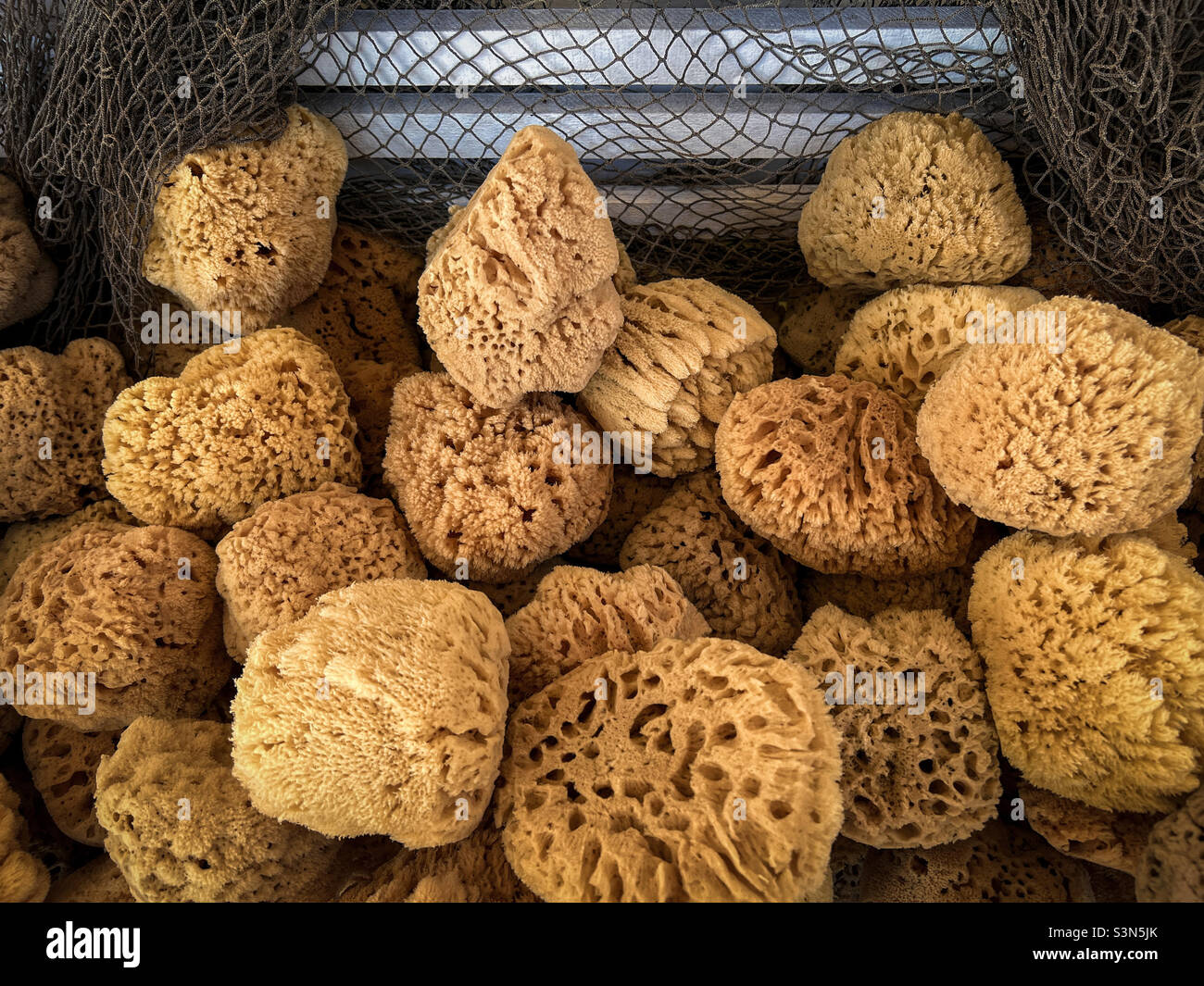 Yellow Gulf of Mexico sponges for sale in Tarpon Springs, Florida. - Smartphone Captured Stock Image