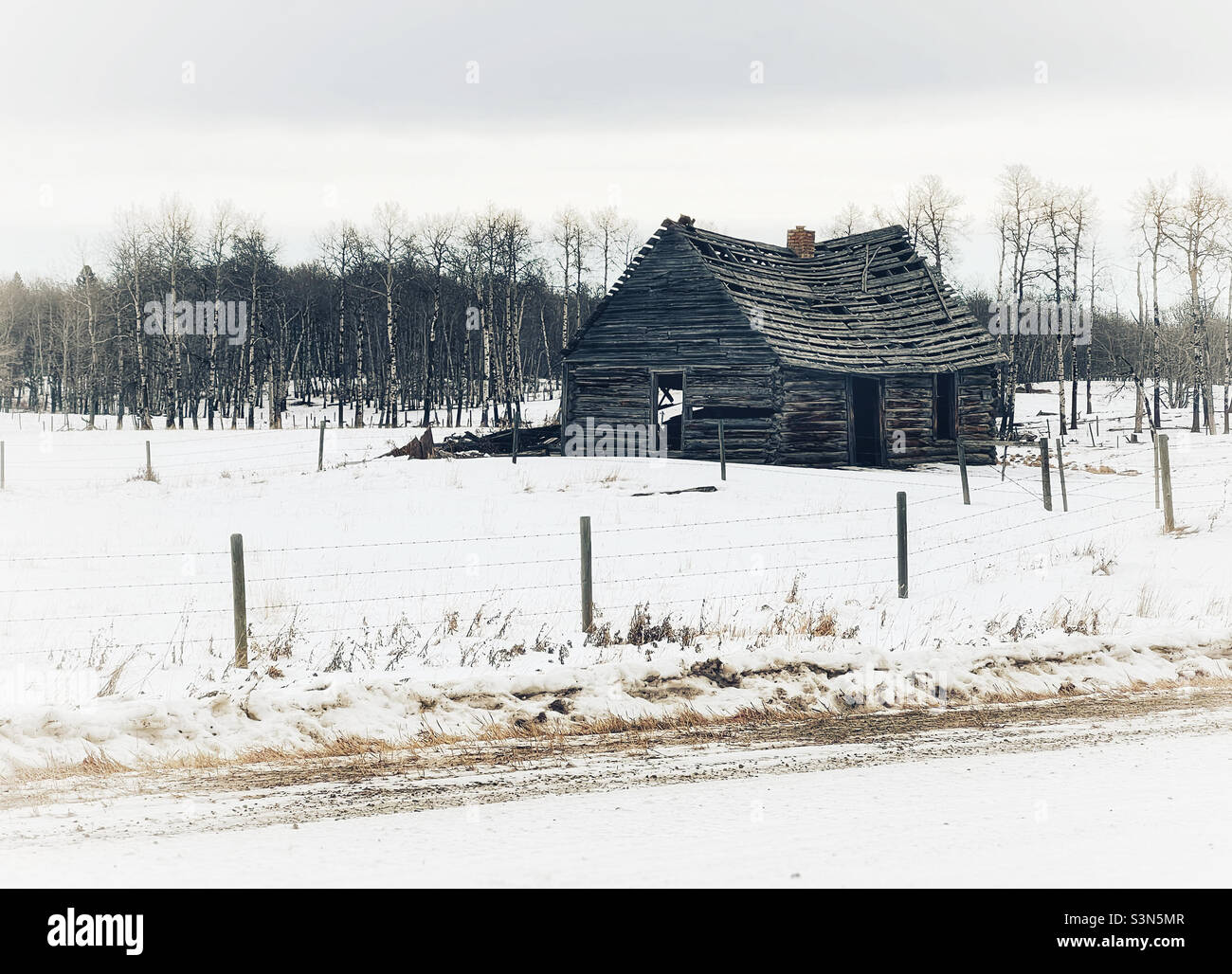 Abandoned old barn in a snow-covered field in winter. Alberta, Canada. - Smartphone Captured Stock Image