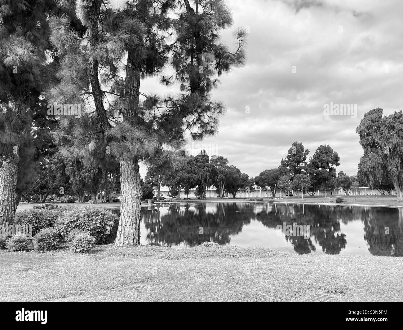 Always In Our Hearts Stock Photo Alamy