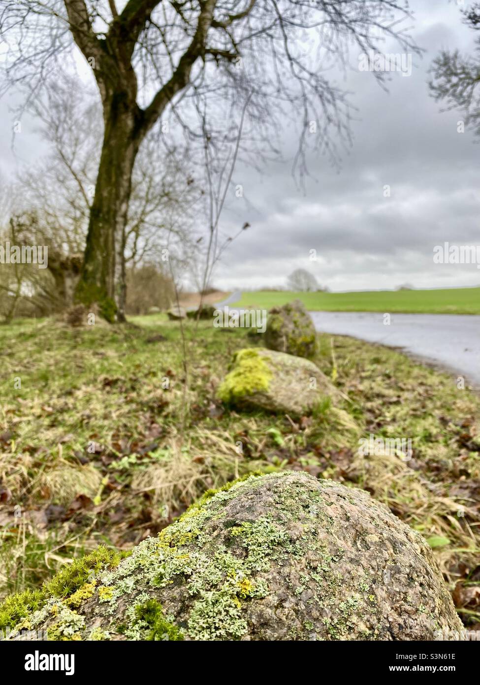 Mossy stones - Bemooste Steine Stock Photo