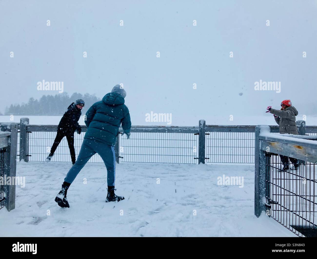 Sibling Snowball fight. - Smartphone Captured Stock Image