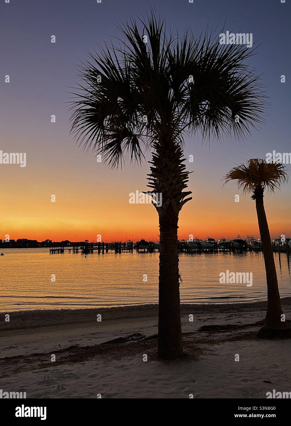 Tropical golden sunset at boat marina - Smartphone Captured Stock Image