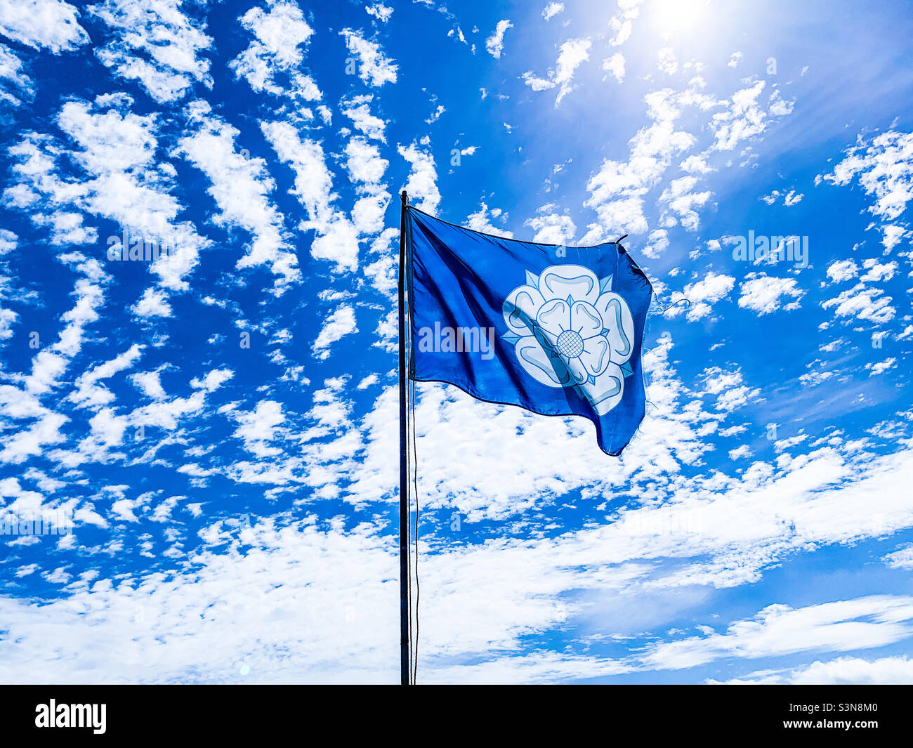 White rose of Yorkshire flag flying in blue summer Yorkshire sky - Smartphone Captured Stock Image White rose of Yorkshire flag flying in blue summer Yorkshire sky - Smartphone Captured Stock Image