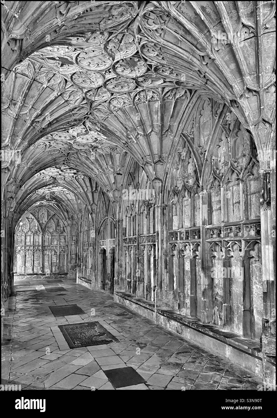 The famous cloisters area of Gloucester Cathedral in Gloucestershire, England. The impressive fan vaulted ceiling area was used in 3 of the Harry Potter films inc. The Philosopher’s Stone.  Photo©️ CH Stock Photo