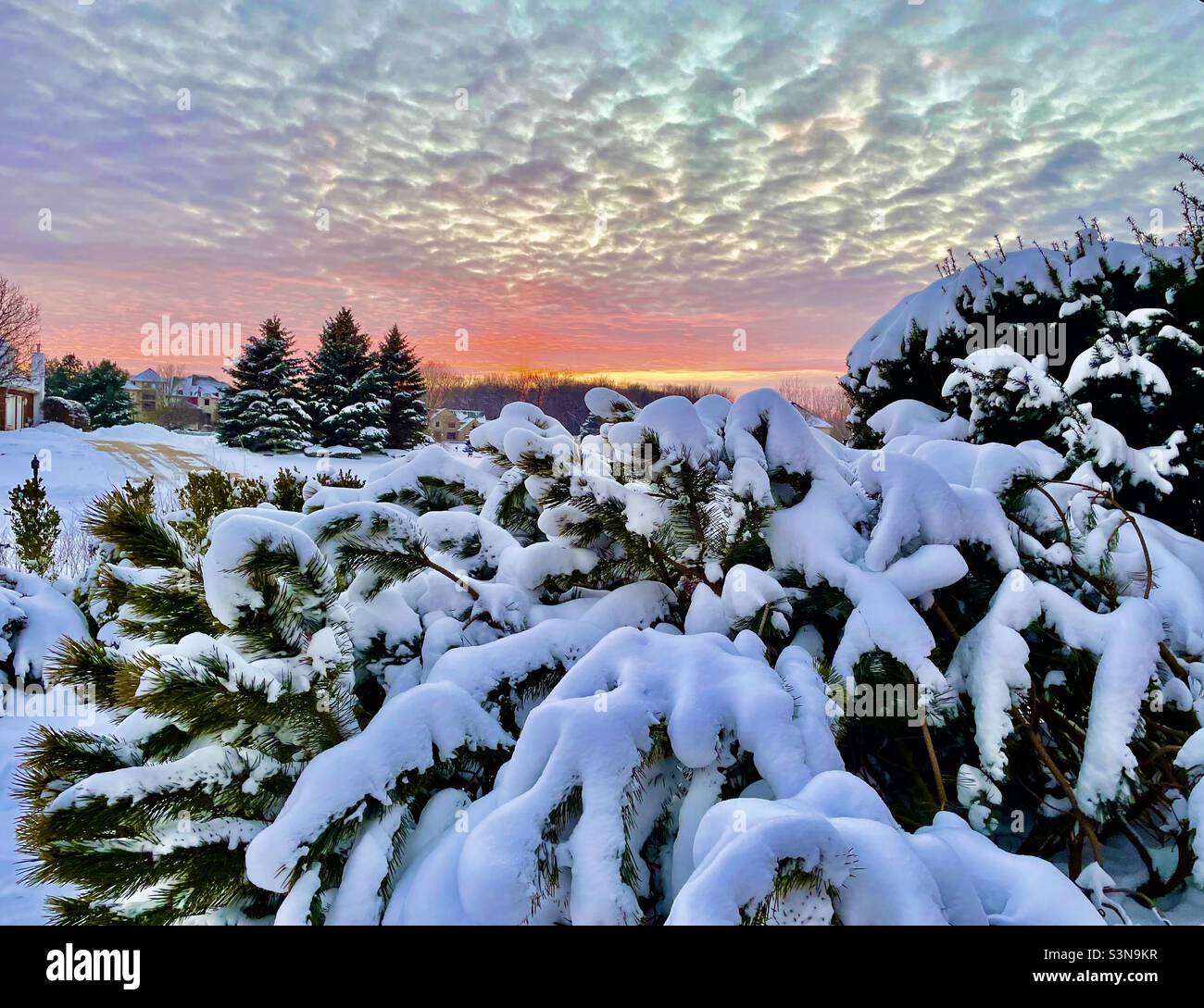 Winter sunset - Smartphone Captured Stock Image