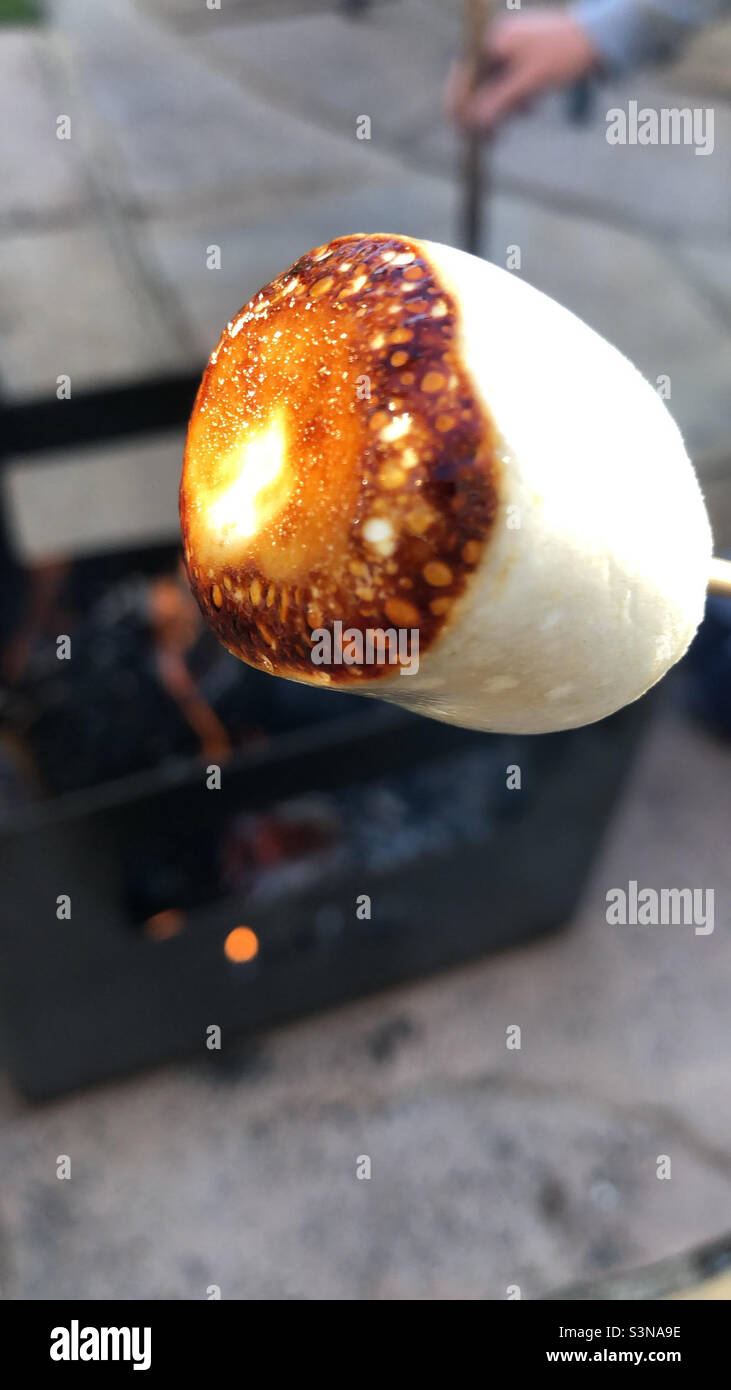 Toasted Marshmallows Fire pit Bbq camping Stock Photo