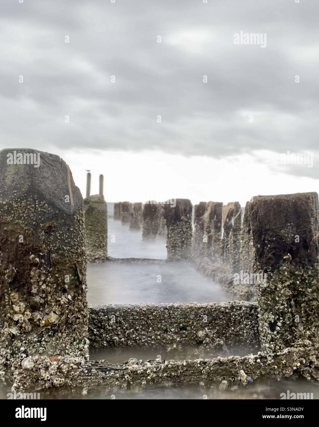 Perspective of wood post in water Stock Photo Alamy