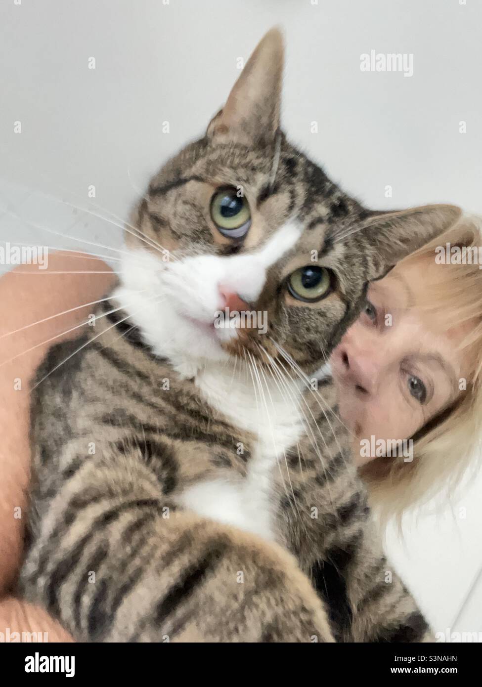 The he-cat in my arms. Stock Photo