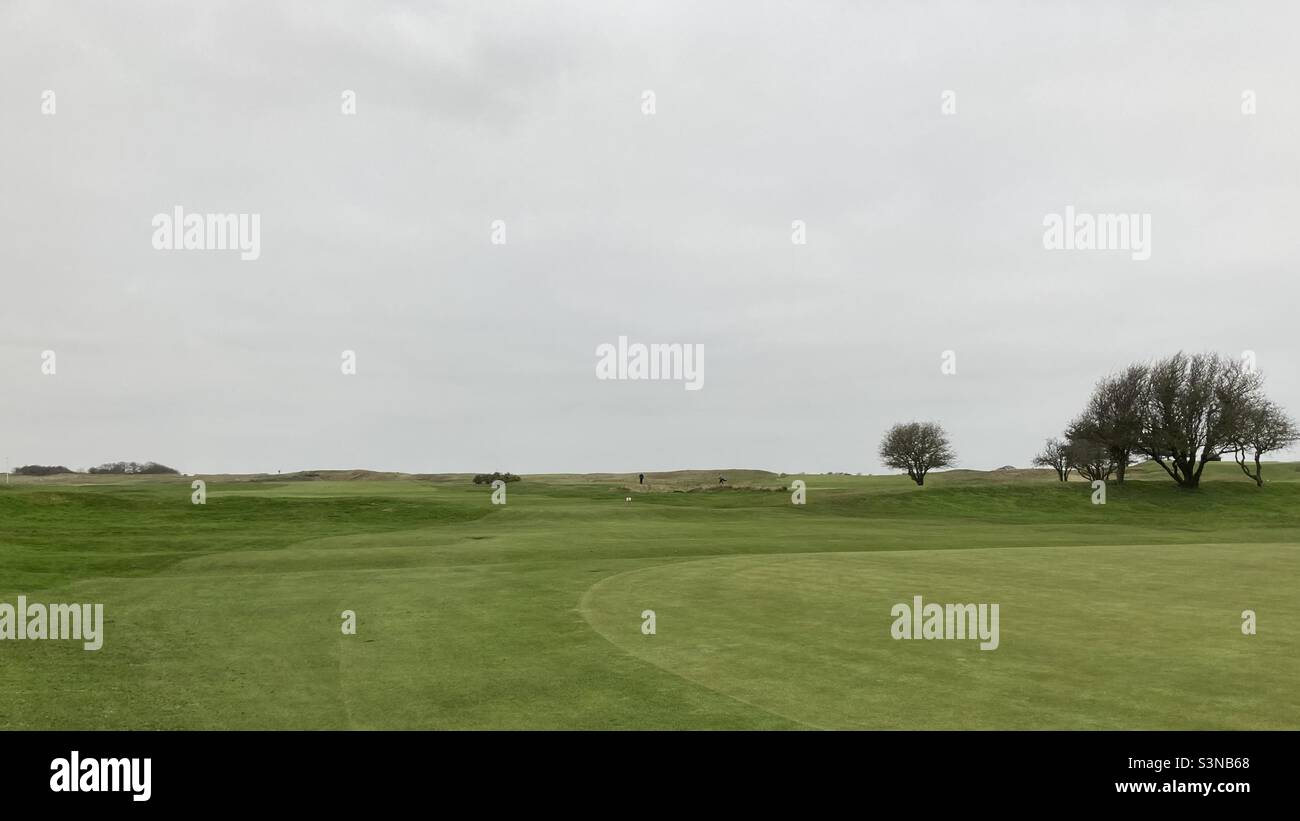 Golf green at Old Hunstanton, Norfolk. Silhouette of trees in background. Minimalist landscape. Jan 2022. Stock Photo