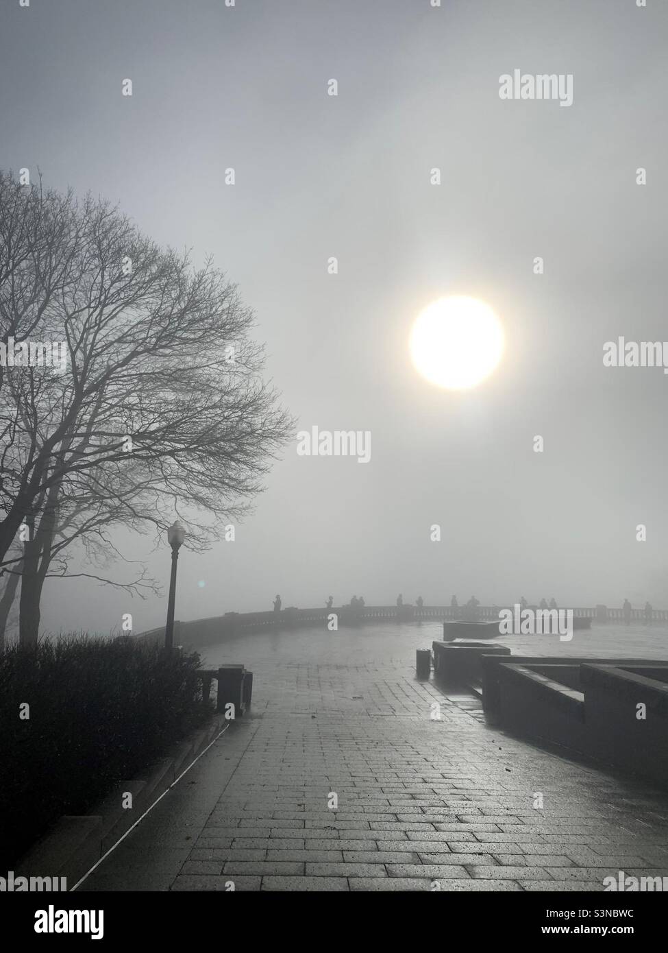 A foggy sunny morning on top of Mount Royal in Montreal, Canada - Smartphone Captured Stock Image