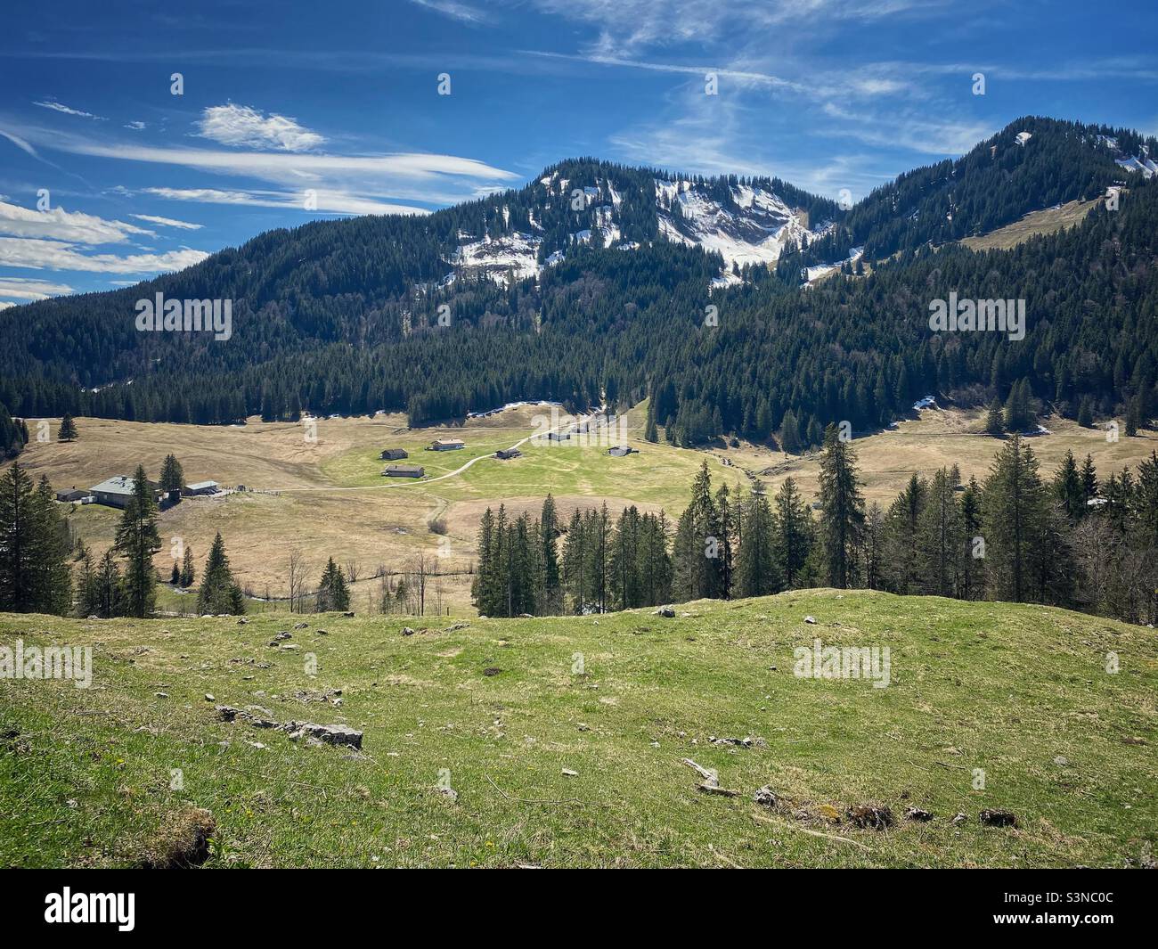 Mountain landscape scenery with green alpine meadows and snow. - Smartphone Captured Stock Image