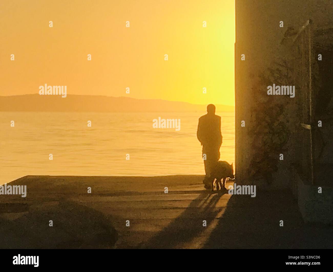 A man passing around the corner in a sunset walking his dog in Duilovo area of Split, Croatia - Smartphone Captured Stock Image