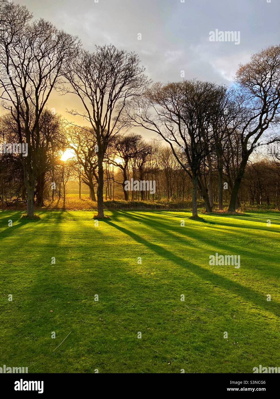Low winter sun filtering through trees approaching sunset - Smartphone Captured Stock Image
