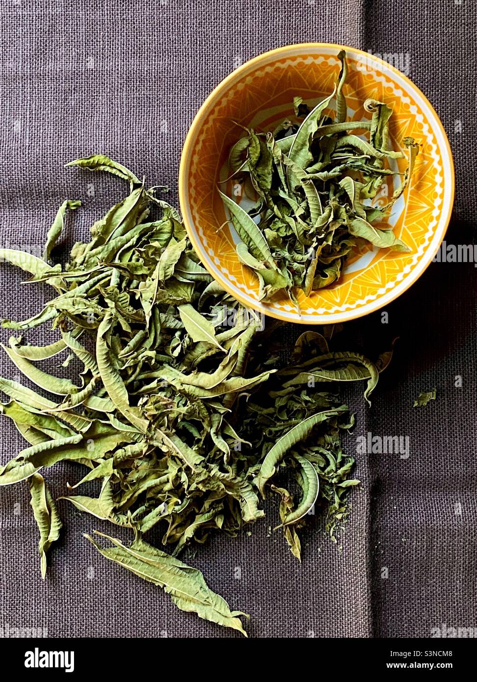 Dried lemon verbena (Aloysia citrodora) or lemon beebrush leaves Stock Photo Alamy