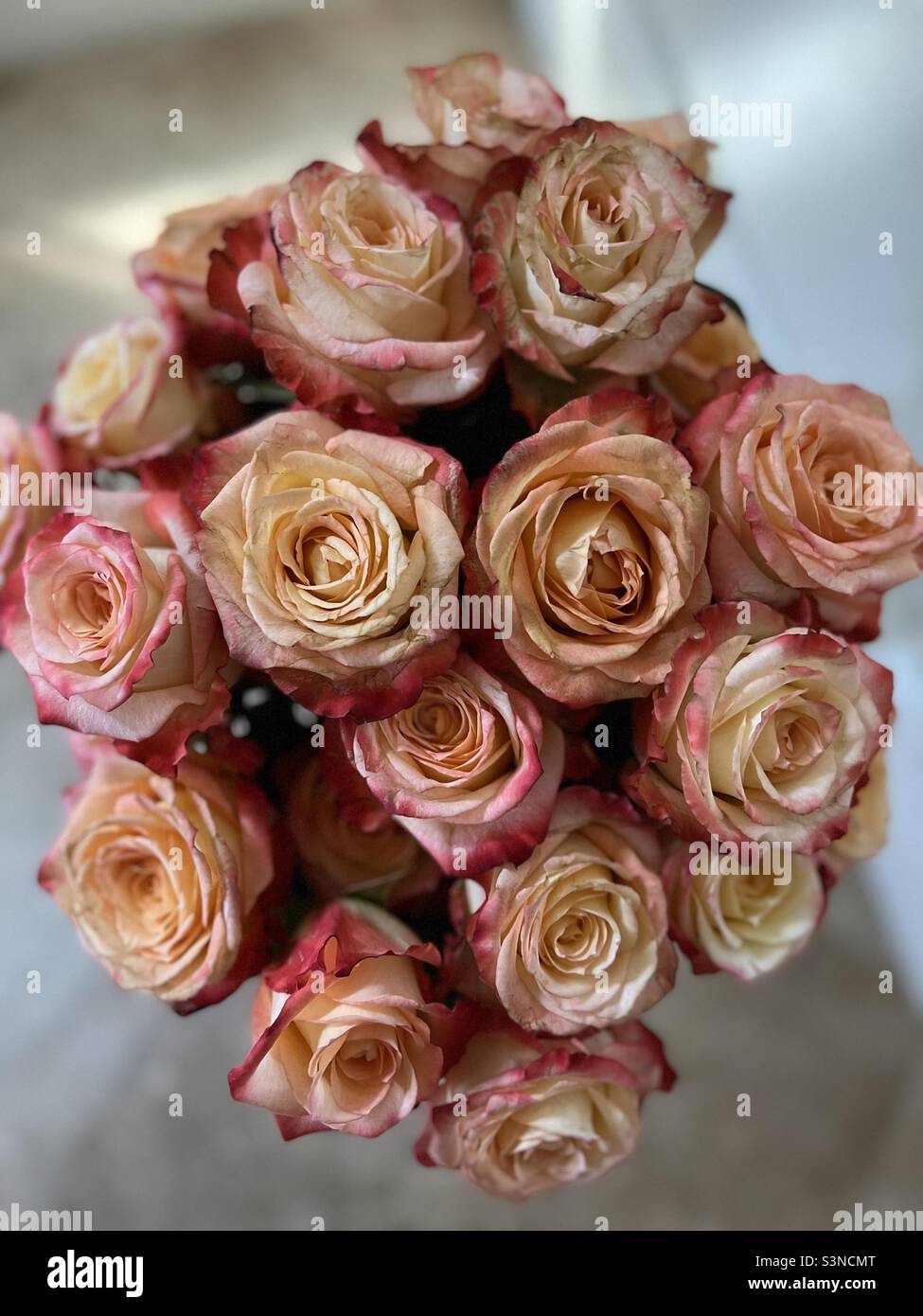 Looking down on a bouquet of peach colored roses - Smartphone Captured Stock Image