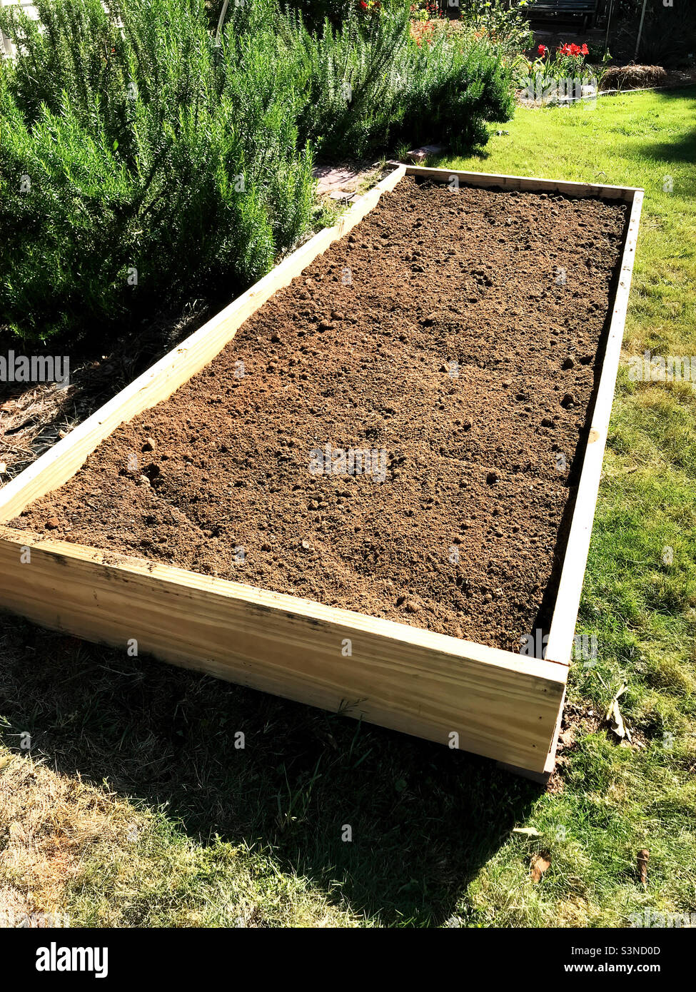 Newly built wood framed raised garden bed filled with dirt and compost