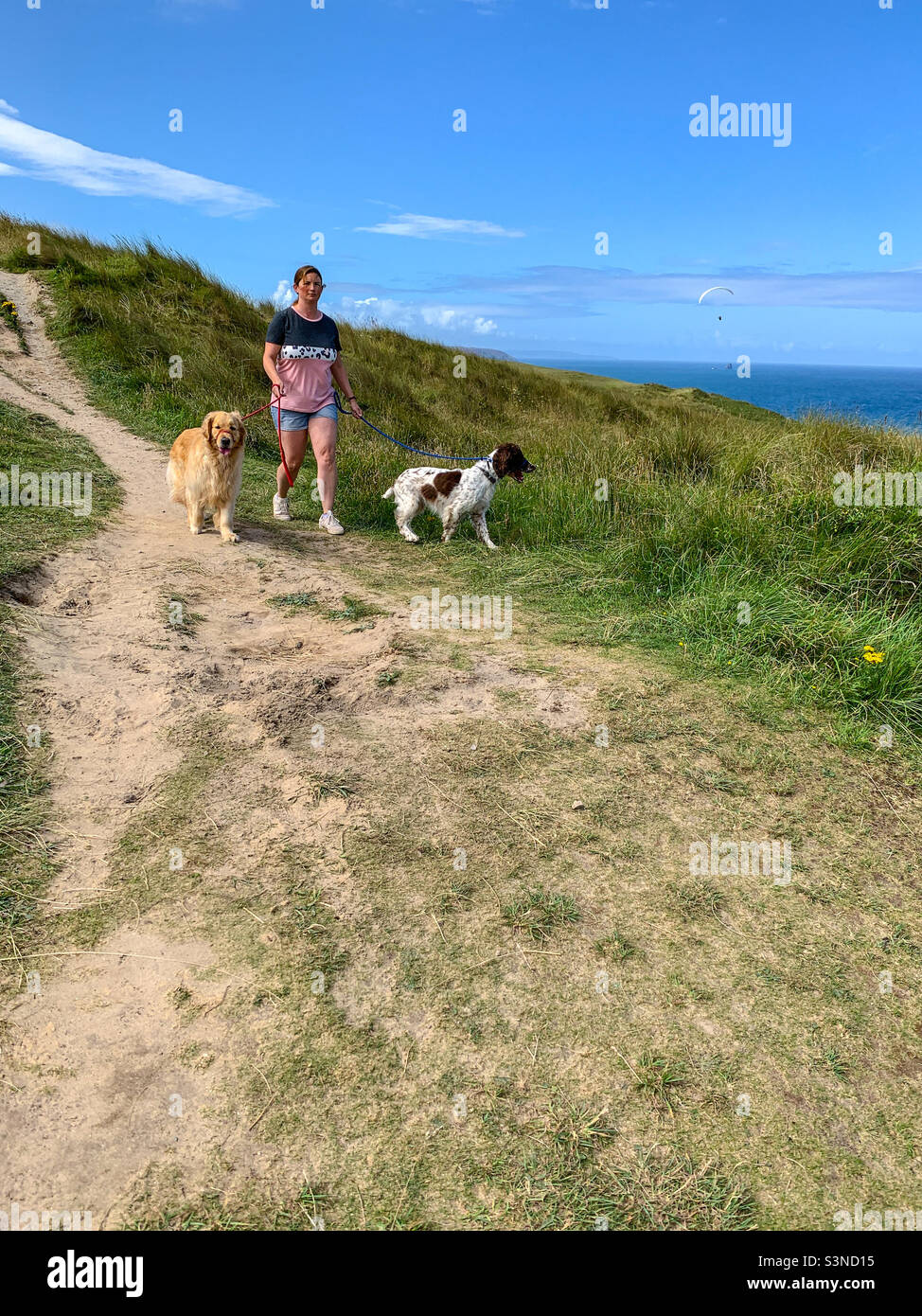 Woman walking her two dogs on the cliffs at Perranporth coast in Cornwall - Smartphone Captured Stock Image