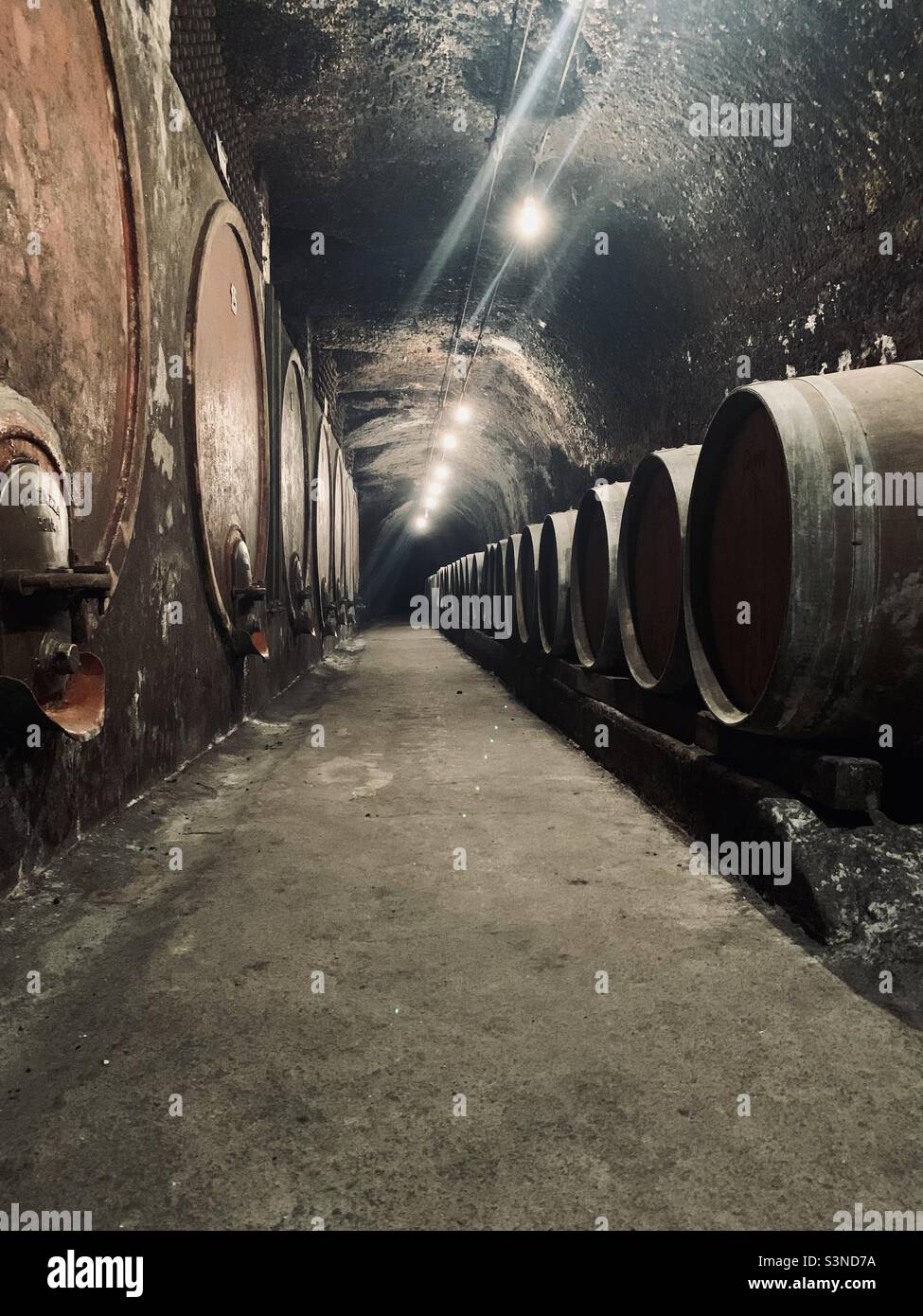 Aging wine in barrels in wine cellar Stock Photo Alamy
