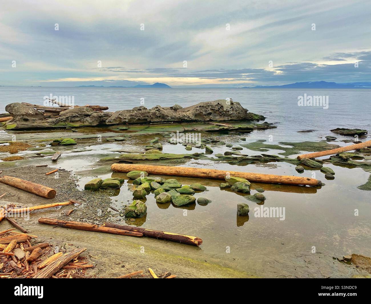 A view from a beach on Gabriola Island, BC on a calm, cloudy day at high tide, showing an eroded sandstone rock formation and large drift logs that the tide has pushed up onto the sandstone shore. - Smartphone Captured Stock Image