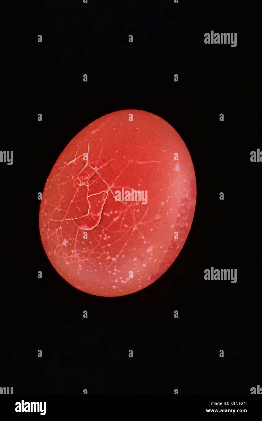 Return to the Planet of the Eggs- Raw Cracked Egg illuminated from beneath - Smartphone Captured Stock Image