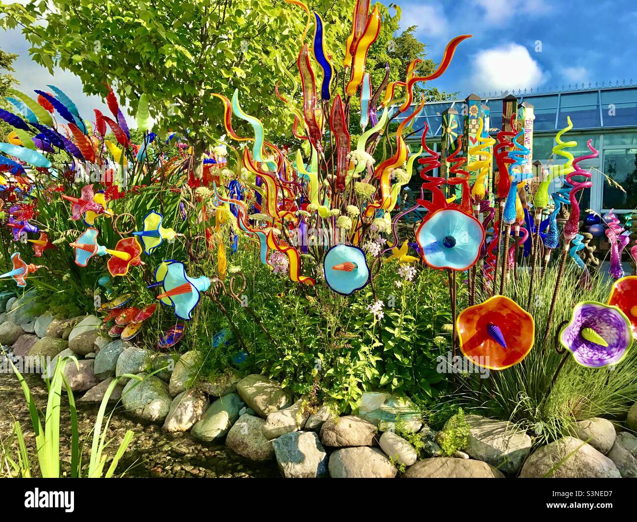 Colorful yard glass - Smartphone Captured Stock Image