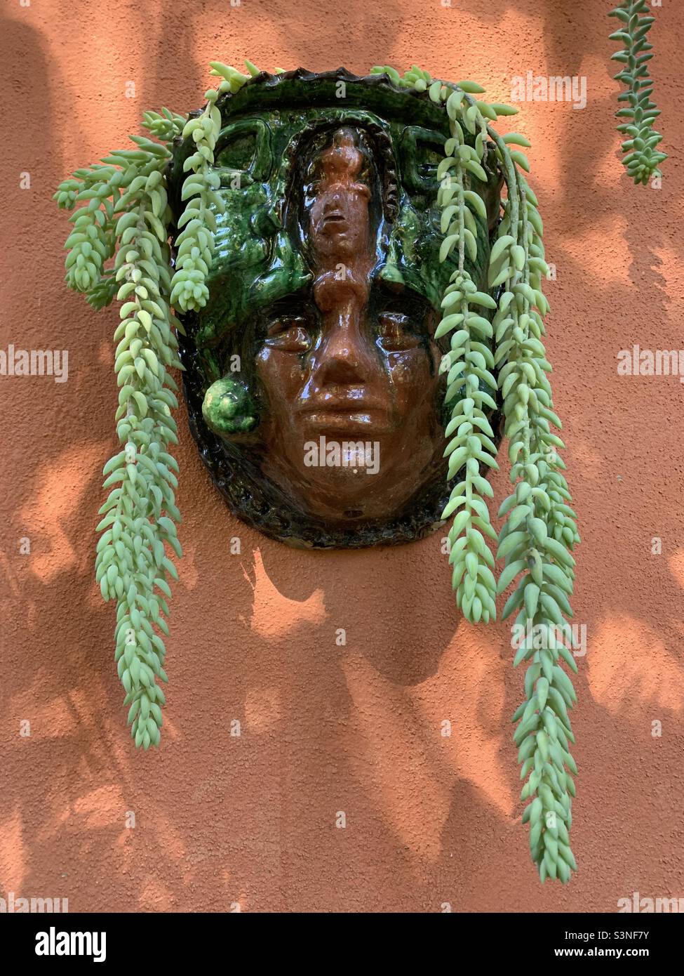 Plant pot with face and burros tail succulent Stock Photo