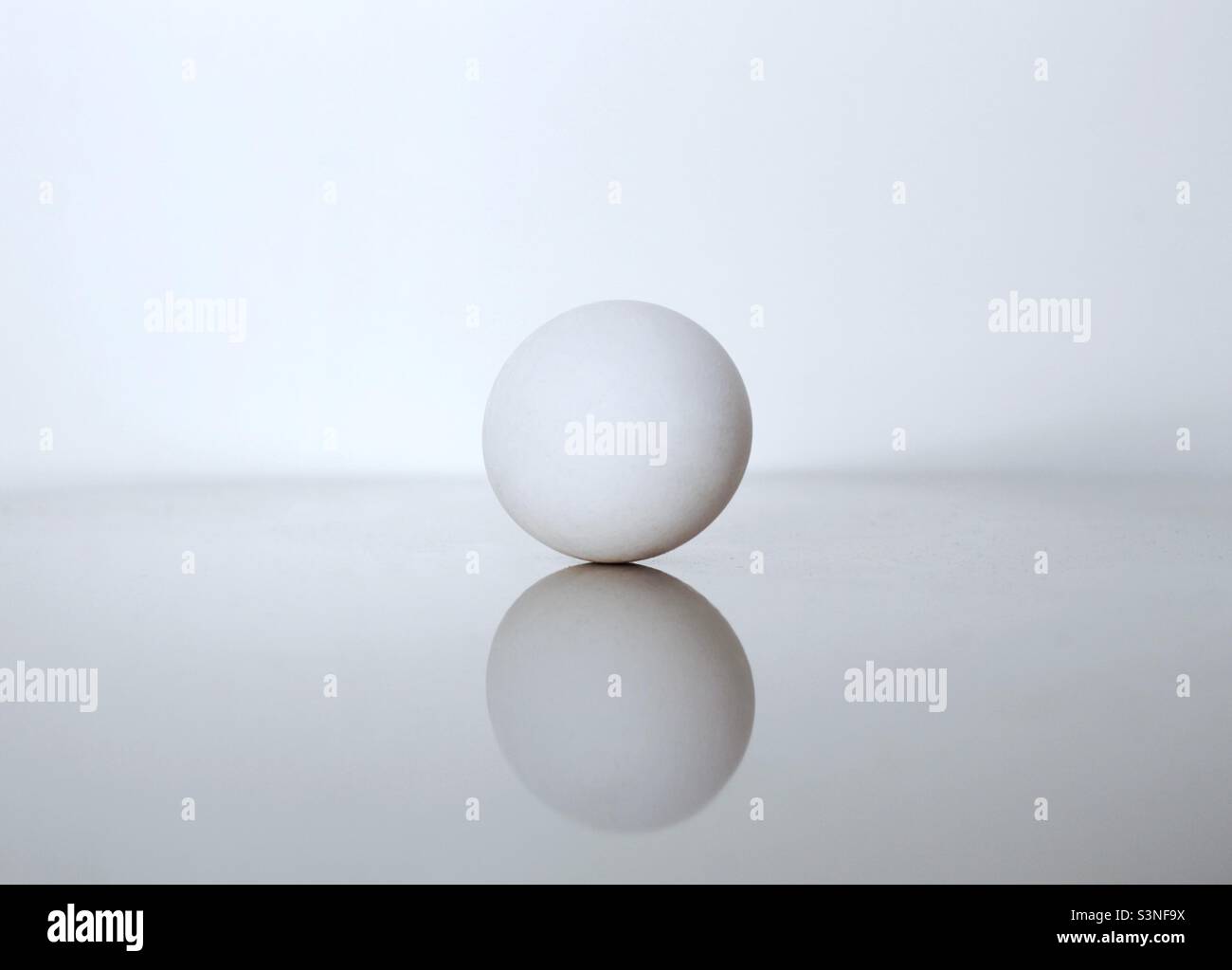 An egg on the white background - Smartphone Captured Stock Image
