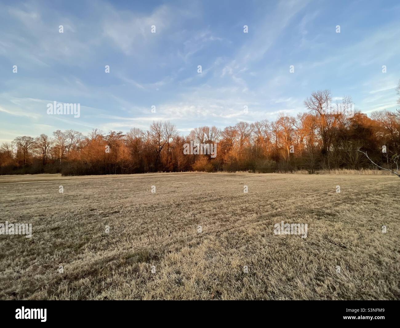 Open field sunset hi-res stock photography and images - Alamy