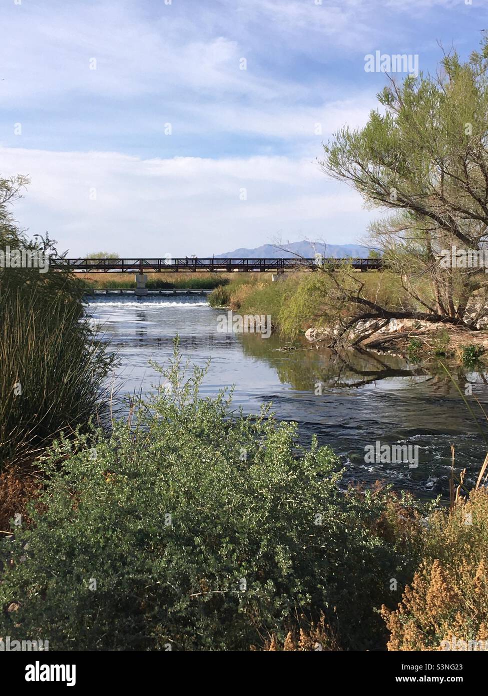 Clark County Wetlands Park Las Vegas Nevada Stock Photo