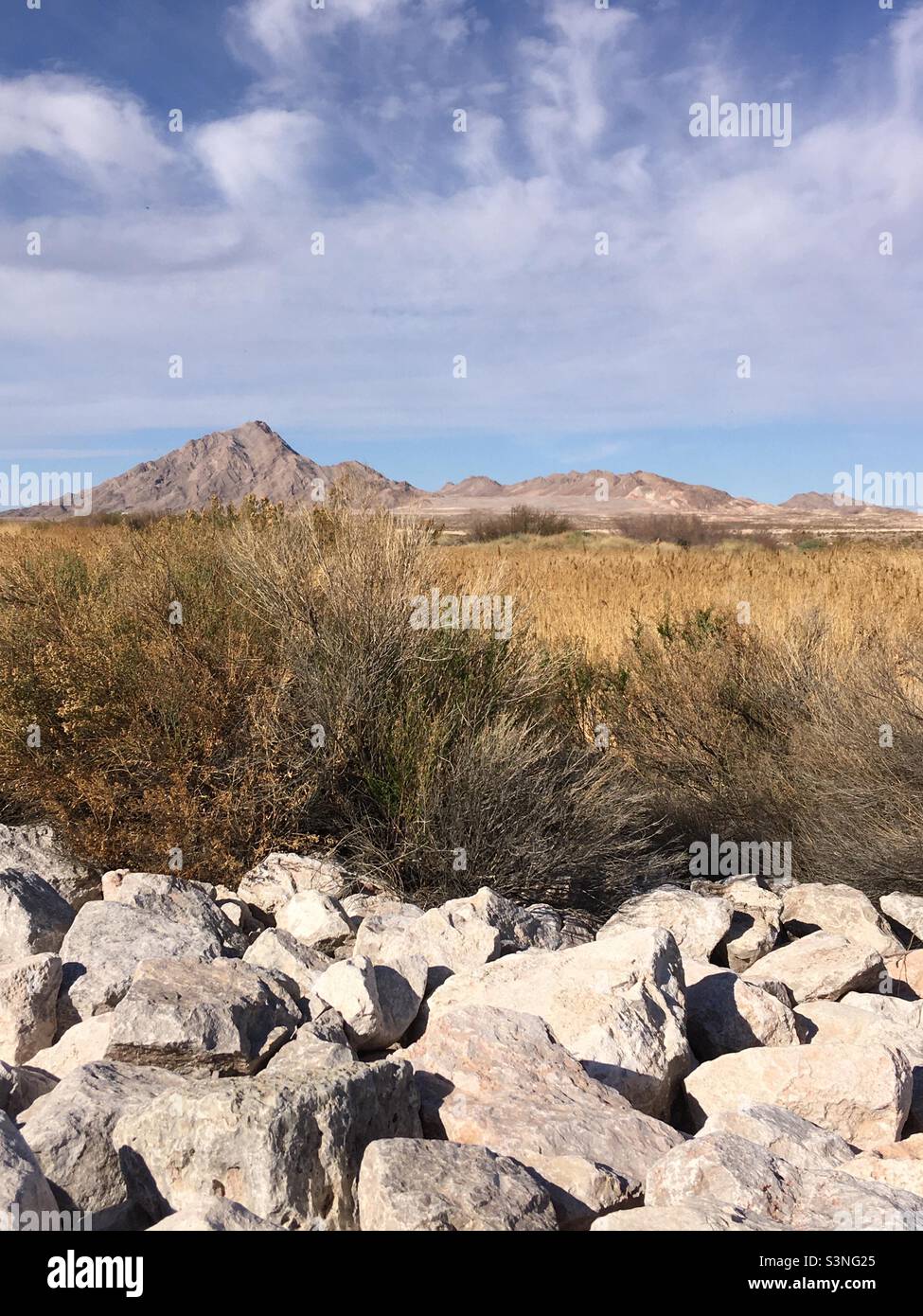 Clark County Wetlands Park Las Vegas Nevada Stock Photo