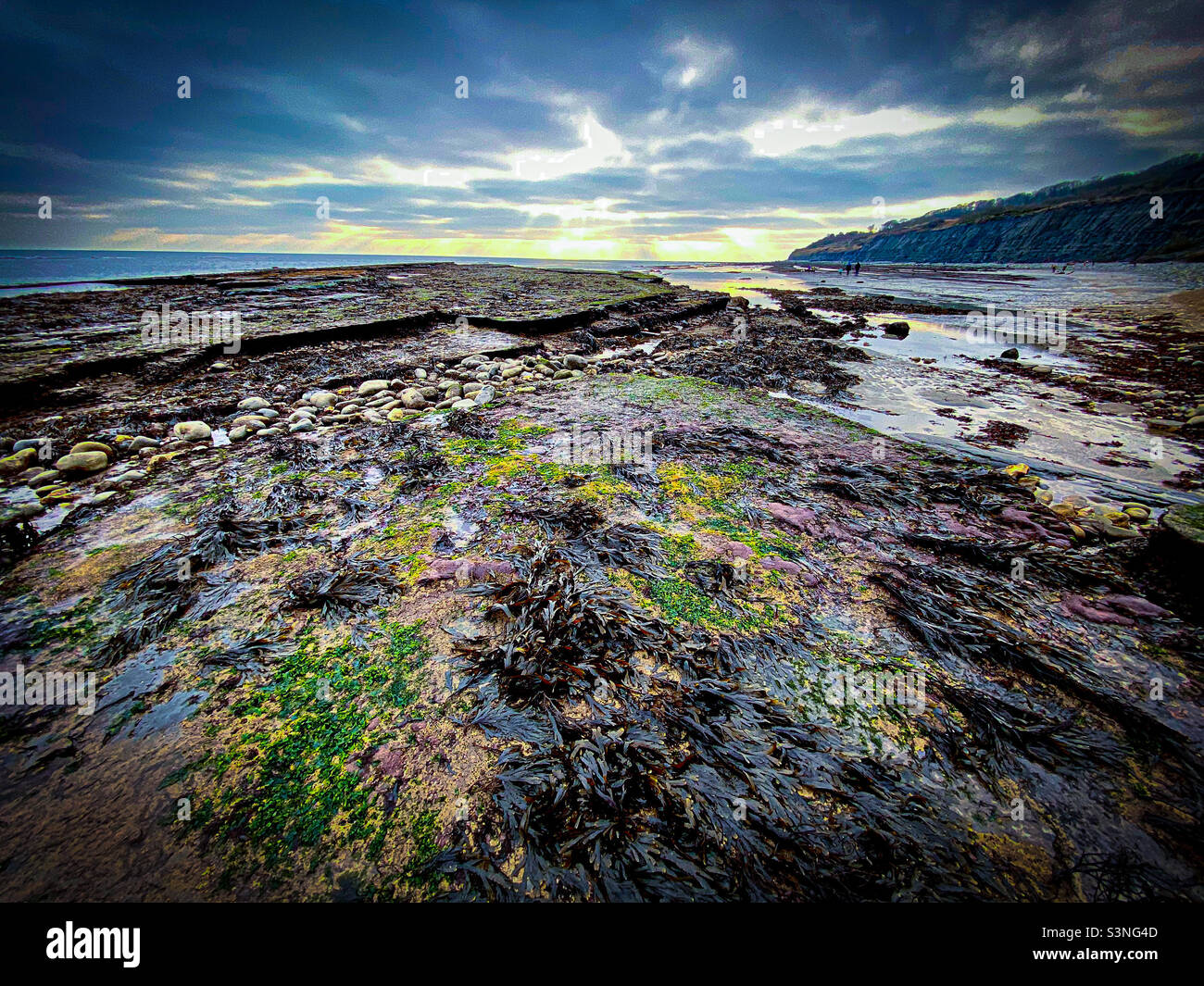 Monmouth beach Lyme Regis - Smartphone Captured Stock Image