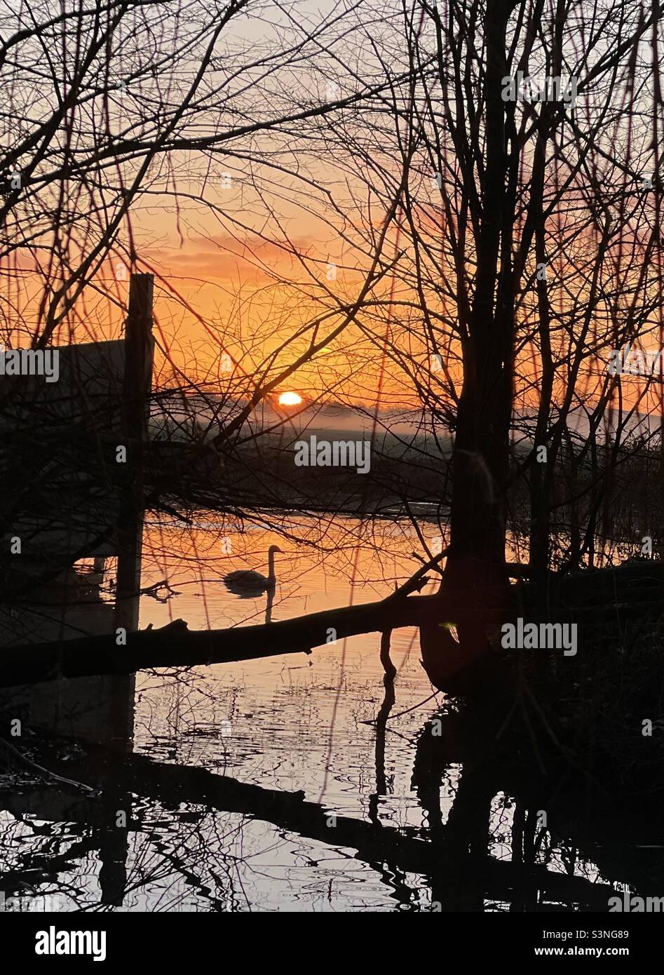 Dawn at sunrise majestic river Ouse - Smartphone Captured Stock Image