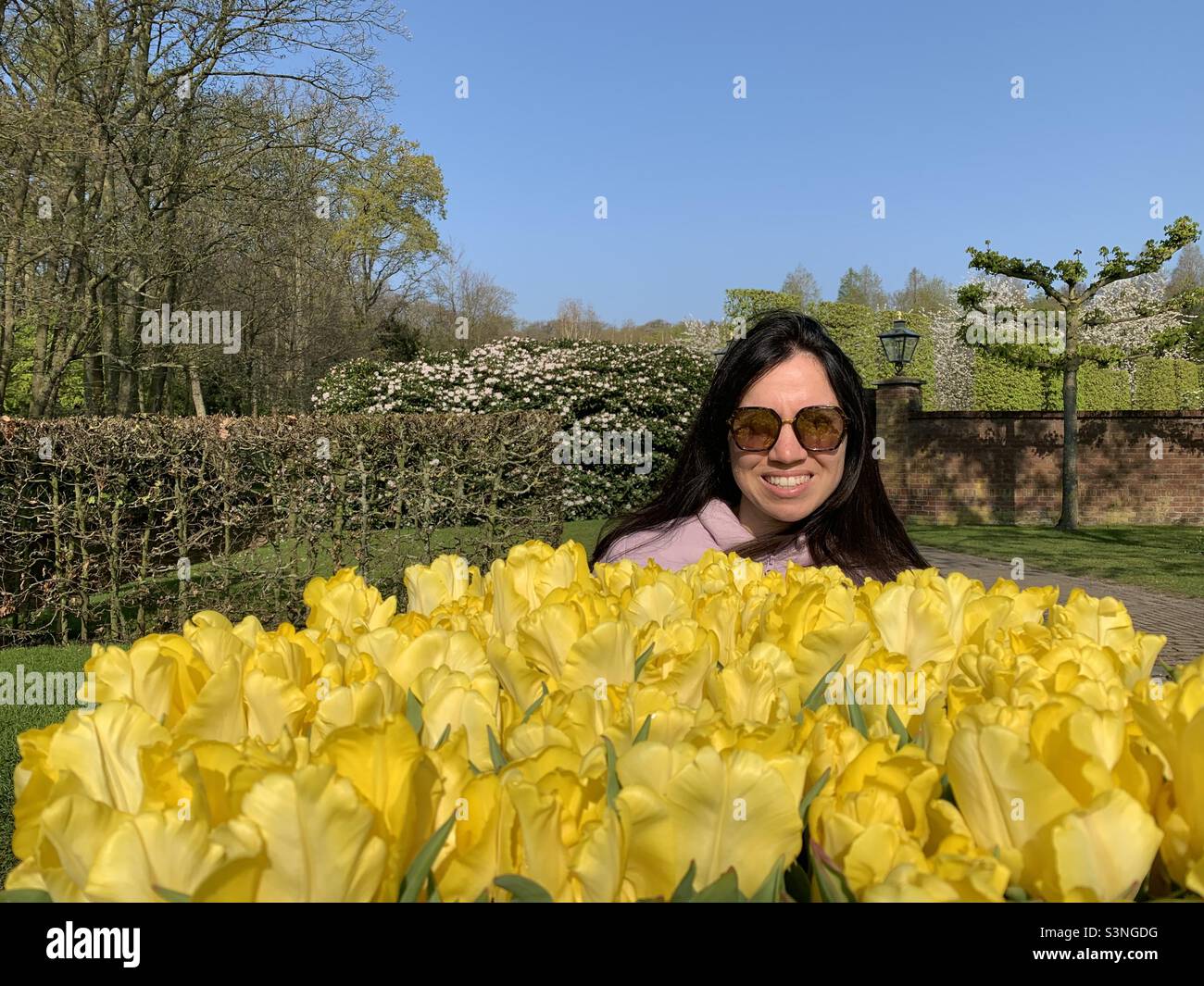 Woman contemplating tulips. Keukenhof, Amsterdam, Netherlands / Holland - Smartphone Captured Stock Image