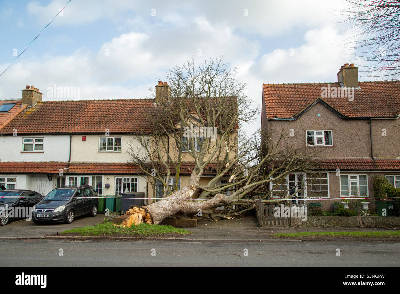 Tree blown over onto house during Storm Eunice. Sutton, South London