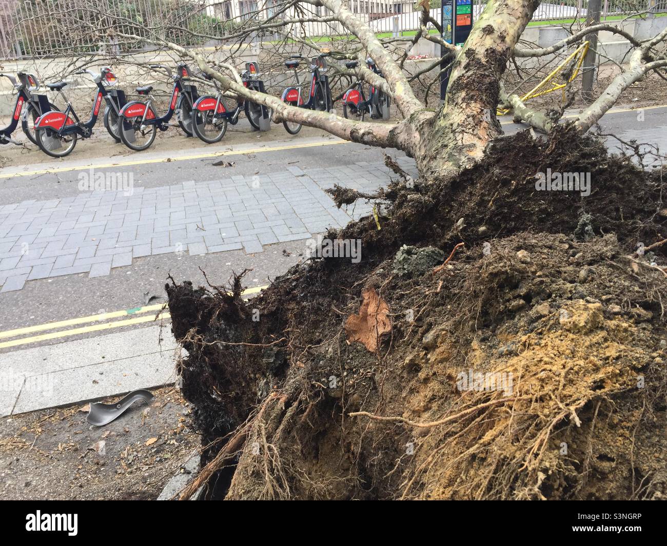 Storm Eunice London SE1 tree fallen on cycle hire - Smartphone Captured Stock Image