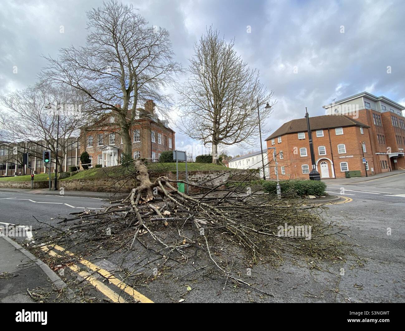 Storm eunice tree hires stock photography and images Alamy