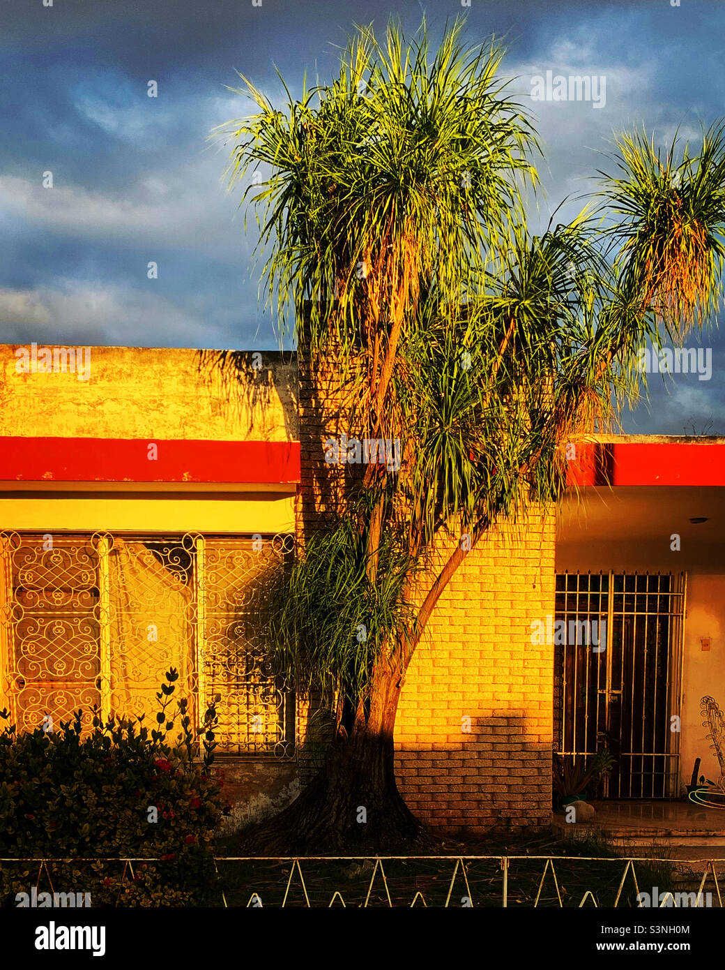 House golden light - Smartphone Captured Stock Image