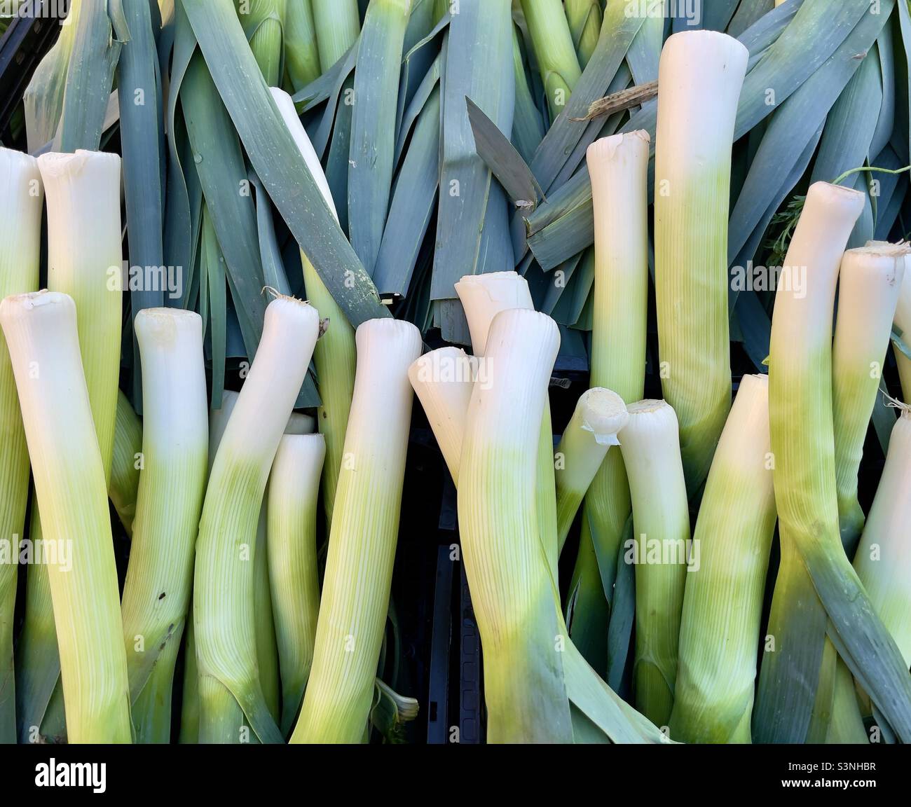 Leeks on sale in an Oxfordshire town market - Smartphone Captured Stock Image