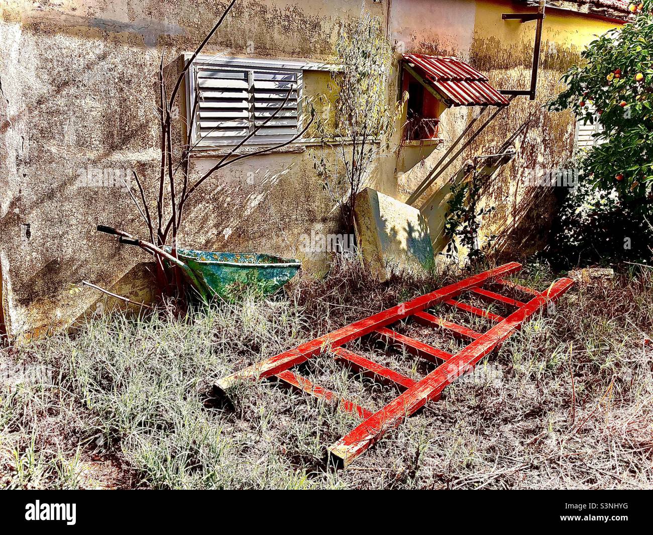 Old red ladder on grass with green wheelbarrow Stock Photo Alamy