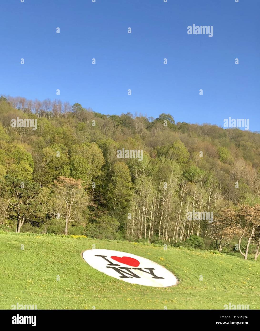 I Love New York written on field, Cortlandville, Entering New York State, United States of America. - Smartphone Captured Stock Image