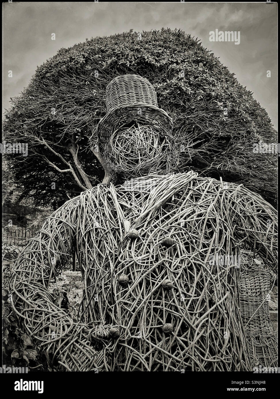 Wicker man in Felixstowe seafront gardens - Smartphone Captured Stock Image